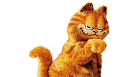 Garfield's a boy … right? How a cartoon cat's gender identity launched