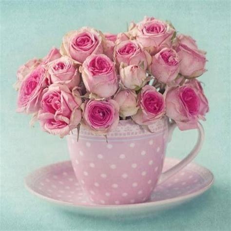 Teacup Pink Tea Pink Flowers Rose