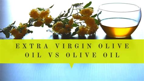 Extra Virgin Olive Oil Vs Olive Oil Difference Explained Used