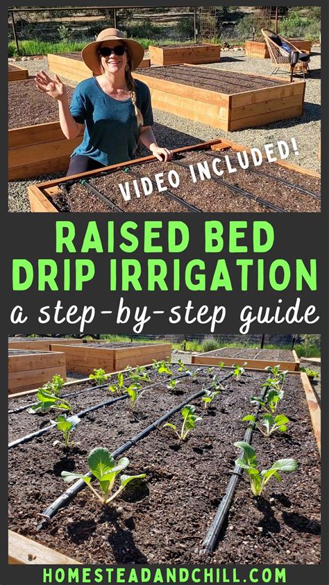 Drip Irrigation Saves Time Energy Money And Water And Makes Plants