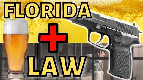 Florida Gun Law Mentions Alcohol 33 Times Youtube