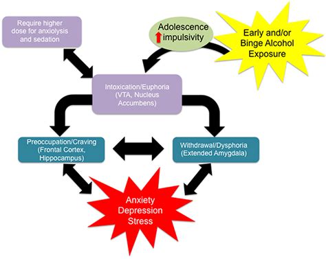 Frontiers Adolescent Alcohol Exposure Burden Of Epigenetic