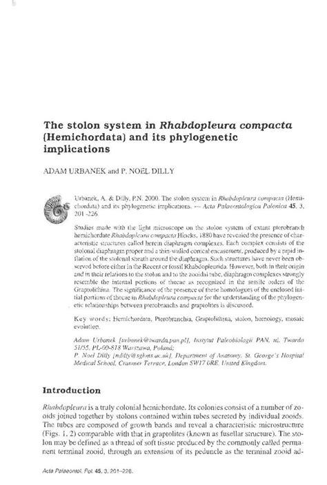 Pdf The Stolon System In Rhabdopleura Compacta Hemichordata And