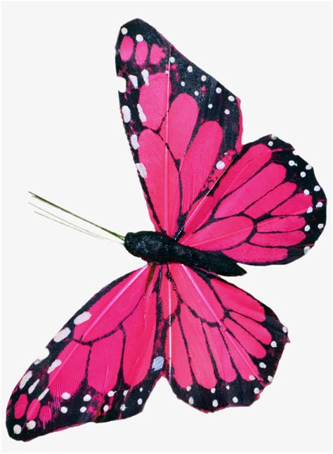 Please, do not forget to link to butterfly png | free butterflies png clipart images page for attribution! Pink Butterfly Clip Art - Pink Flying Butterfly Png PNG ...