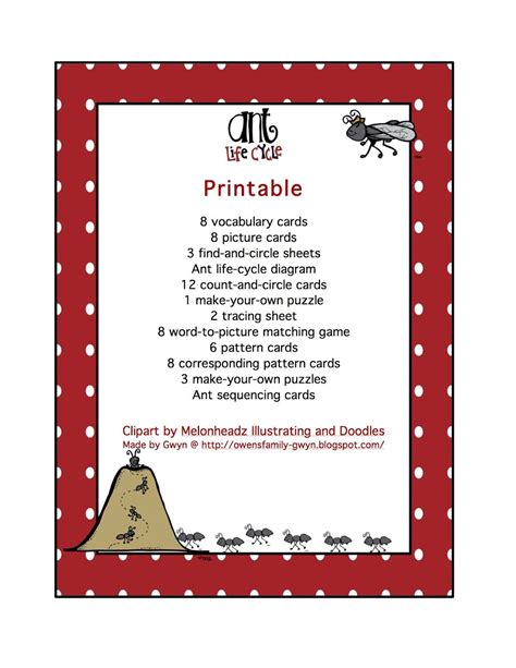 Preschool Printables: Ant Life Cycle | Ant life cycle, Preschool printables, Fun printables