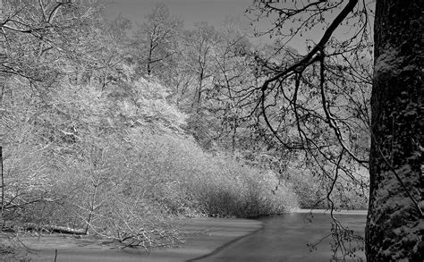 Winter Atmosphere Foto And Bild Landschaft Wald Bw Bilder Auf