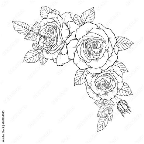 Incredible Compilation Over 999 Black And White Rose Images Of