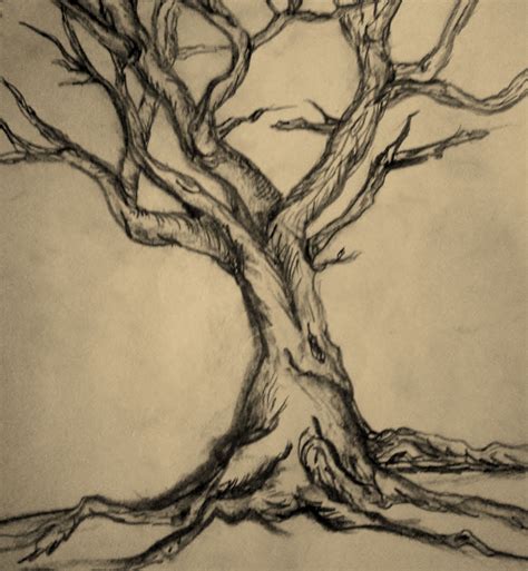 Tree Drawing Formák Vonalak Színek Pinterest Teckningar Och
