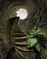 Down the rabbit hole... | Beautiful places, Places to see, Nature