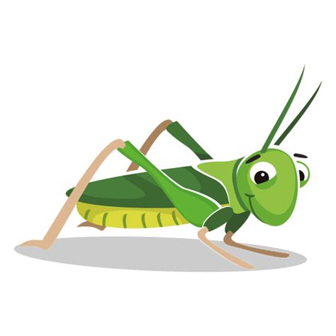 Grasshopper Cartoon Transparent Png And Svg Vector File