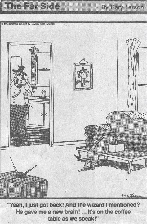 Pin By Samantha Quebedeaux On Humorous Things Far Side Cartoons Far
