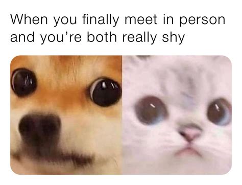 when you finally meet in person and you re both really shy memes memes