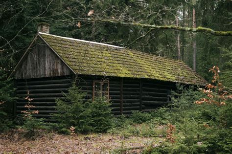 Magical Abandoned Cabin In Woods Copyright Free Photo By M Vorel