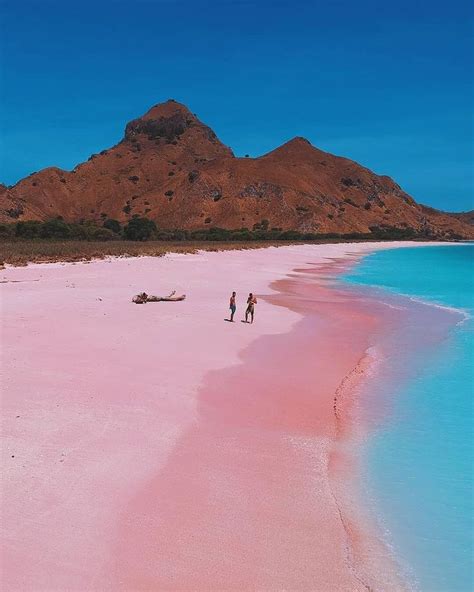 Clear Water Pink Sand Beach At Komodo National Park Indonesia Cool