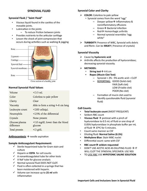 13 Synovial And Serous Fluid Synovial Fluid Synovial Fluid Viscous