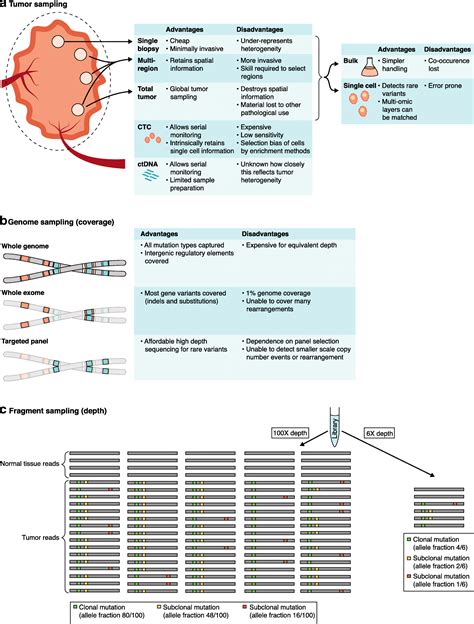 Translating Insights Into Tumor Evolution To Clinical Practice