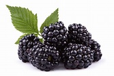 Blackberry Facts, Health Benefits and Nutritional Value