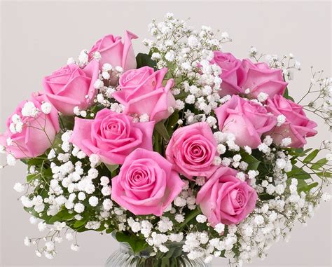Candy Pink Roses Flowers