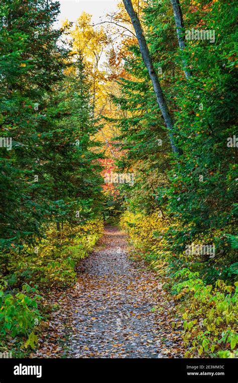 Egan Chutes Provincial Park Bancroft Ontario Canada In Autumn Stock