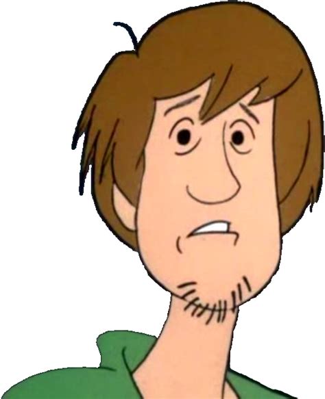Hi I Was Wondering If You Could Turn This Image Of Shaggy Form Scooby