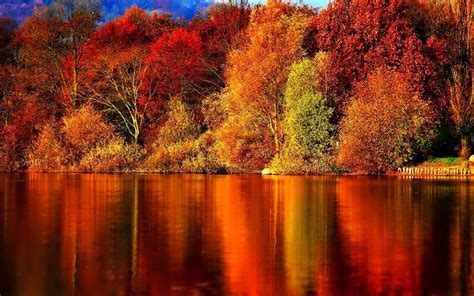 Free Download Autumn Images Autumn Wallpaper Wallpaper Photos 35867784