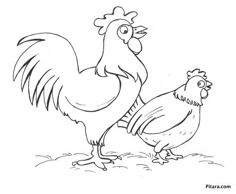 Two chickens – Coloring page – Pitara Kids Network