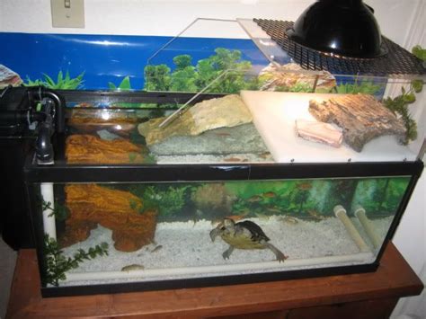 Diy Turtle Topper Aquatic Turtle Habitat Aquatic Turtle Tank Turtle