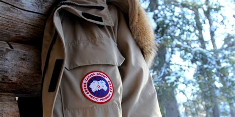 Why You Shouldn T Feel Bad About Coyote Fur On That Canada Goose Jacket Inverse
