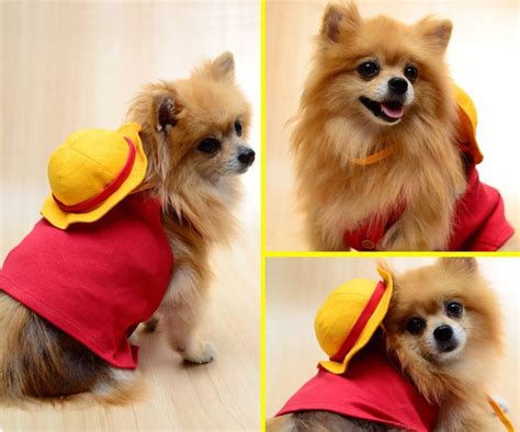 Share 95 Anime Costumes For Dogs Latest Induhocakina