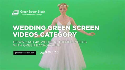 Green Screen Wedding Video Footage 💚 — Green Screen Stock