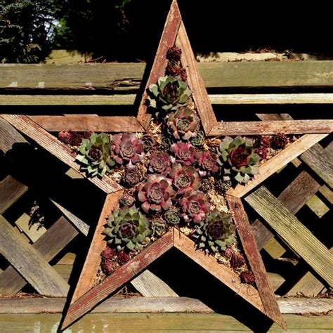 The garden is managed to be of maximum benefit for urban wildlife, and provides. Phoenix Perennials - E-Newsletter