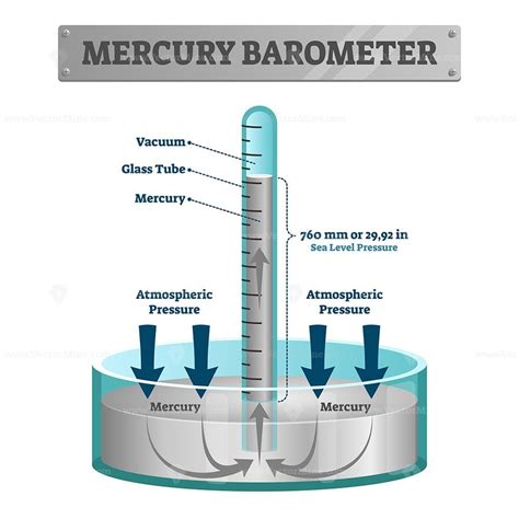 Mercury Barometer Vector Illustration Vectormine