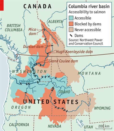 Salmon En Route The Columbia River Treaty