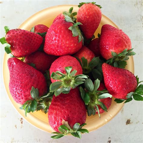 Free Images Plant Fruit Berry Sweet Summer Ripe Bowl Food Red Produce Natural Fresh