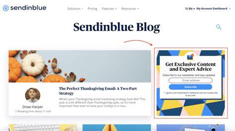 13 Of The Best Newsletter Examples To Inspire You Sendinblue