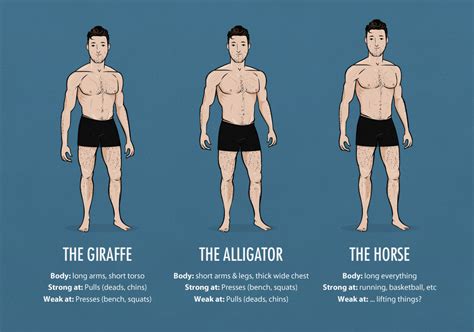 Ectomorph Weightlifting Body Types Bony To Beastly