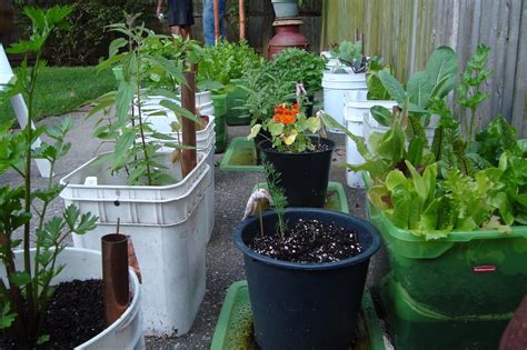Small Yard Vegetable Garden Ideas Garden Design