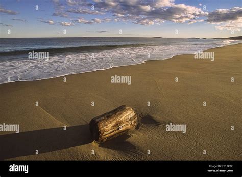 The Beach At Reid State Park Georgetown Island Maine Stock Photo Alamy