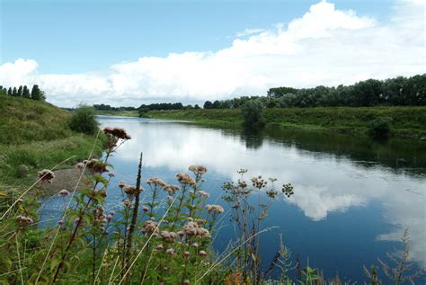 Bibliothèque royale belgique (dutch, french). Biodyvino gaat voor meer natuur in België! - Organic ...