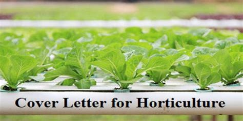Pin on job application letter template. Cover Letter for Horticulture - QS Study