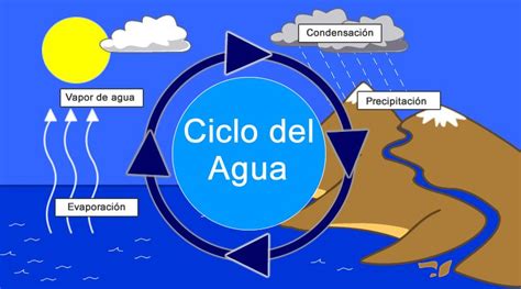 【ciclo Del Agua Para Niños】 Pasos Detallados Y Dibujos