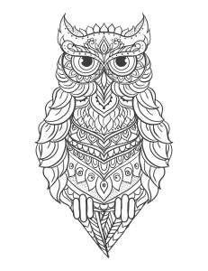 Sammlung von felizia • zuletzt aktualisiert: Mandala Eule | Owl coloring pages, Owl drawing color, Owl vector