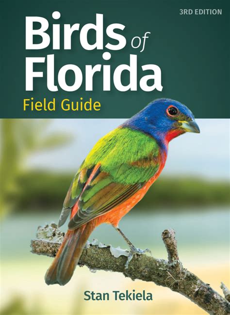 Lets Discover The Birds Of Florida Adventurekeen