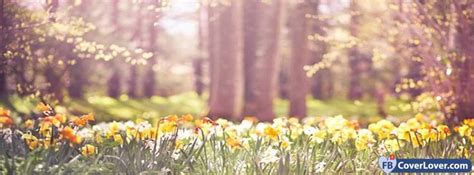 Fbcoverlover Spring Daffodils Facebook Cover Free Download