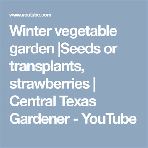 Winter Vegetable Garden Seeds Or Transplants Strawberries Central