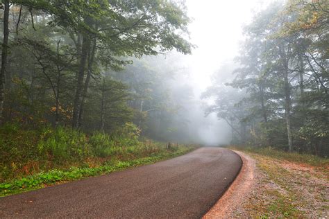 Free Photo Misty Forest Road Spruce Knob Hdr Adventure Path