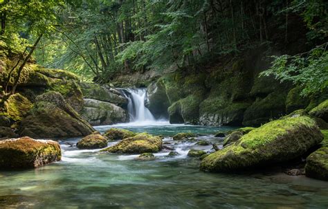 Wallpaper Forest River Stones Waterfall Moss Switzerland