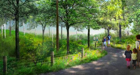 Forest Swings Trails Part Of Massive New Waterfront Park Plan In