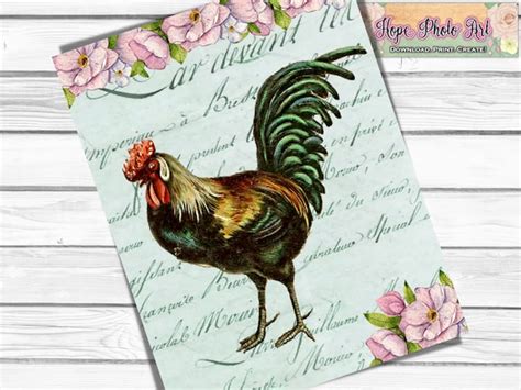 Printable Rooster French Wall Art Country Farmhouse Digital Etsy