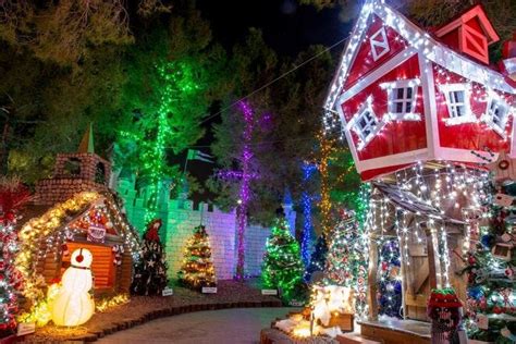 magical forest at opportunity village is one of the very best things to do in las vegas